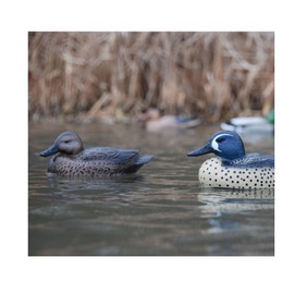 Avery Life-Size Blue-Winged Teal (1/2 Dozen)