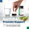 Best Life Herbals Prosta-Rye - Natural Prostate Supplement for Men