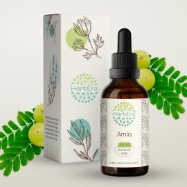 HerbEra Amla Alcohol-FREE  Tincture Organic Amla (Emblica Officinalis) - 2 fl oz
