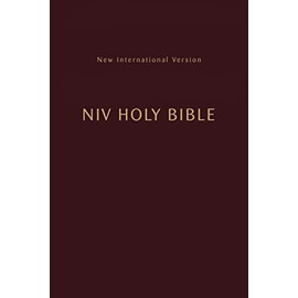 NIV, Holy Bible, Compact, Paperback, Burgundy, Comfort Print