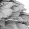 Feather Table Lamp Stepless Dimming USB Charging Touch Control LED