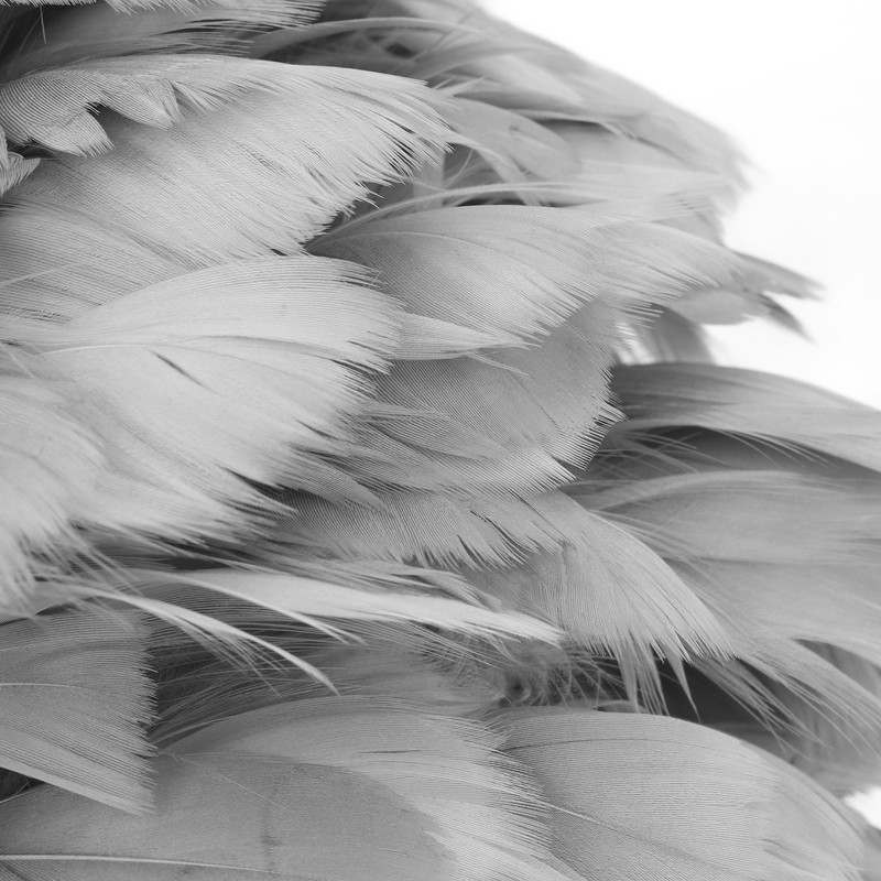 Feather Table Lamp Stepless Dimming USB Charging Touch Control LED