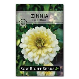 Sow Right Seeds - Isabellina Zinnia Seeds for Planting - Non-GMO Heirloom Packet to Plant & Grow an Outdoor Home Flower Garden - Fast Growing Pastel Yellow Blooms to Cut and Come Again - Annual (1)