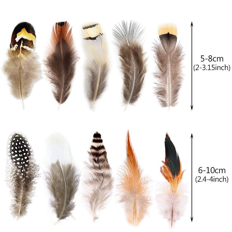 200pcs 10 Style Natural Feathers Assorted Mixed Feathers for Dream