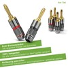 conecto CC50640 Banana Plugs High-End Professional (100% Copper) for all