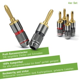 conecto CC50640 Banana Plugs High-End Professional (100% Copper) for all Speaker Cables with a Diameter of max. 6 mm², 4 Pieces with Colour Coding (2 x Red, 2 x Black), 24 Carat Gold-Plated