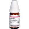 DHU Thuja D4 Spreading Balls 10 g Globules