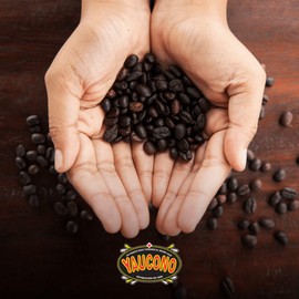 Yaucono Ground Coffee Bagged, 14 Ounce (Pack of 6)