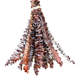 (20Pcs) Dried Eucalyptus Stems - Red, Fall Decorations for Home, Real Long Eucalyptus, Dried Flowers for Vase, 17" Floral Arrangement, Wedding (Orange)