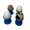 Undique Mini Egg Cup Set, Quail Egg Holders, Set of
