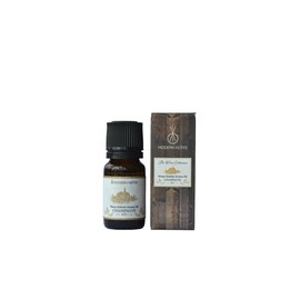 MODERN NOTES 2017 CHAMPAGNE Wine Collection Water Soluble Aroma Oil (10 mL)