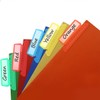 WELANE File Folder Tabs & Inserts, 50 PCS Colorful Plastic