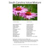 South Carolina Bulk Perennial Wildflower Seed Mix 1lb Covers 2,000sq-ft
