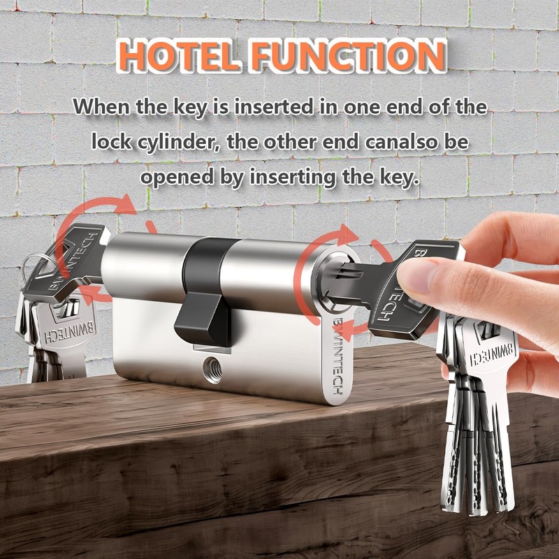Bwintech 60 mm (30/30) Nickel-Zinc Alloy Euro Cylinder Lock, Door
