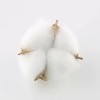 Tag 테그 코튼 볼 20PCS 천연 흰색 건조 포드로 농가