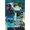 FIJI'S UNDERWATER PARADISE: A Guide to the Best Snorkeling and