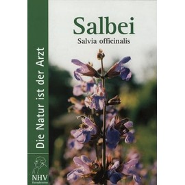 Salbei - Salvia officinalis