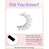 Natural Lashes Natural Eyelashes Natural Look Wispy Lashes Mink Lashes
