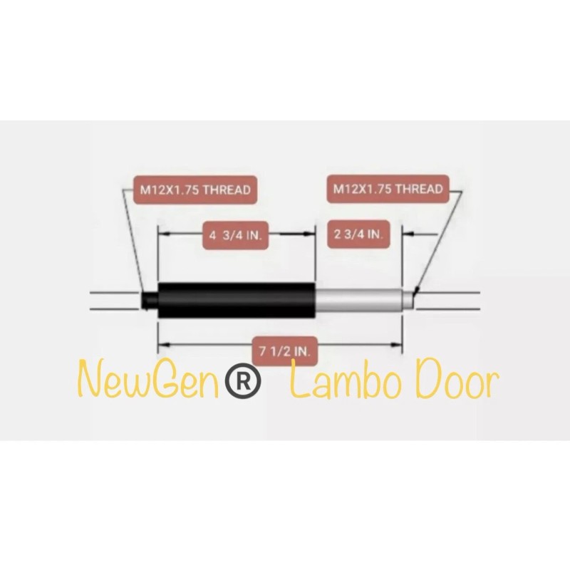 2004-2007 Scion XB NewGen® Lambo Door Shocks