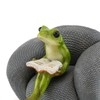 Top Collection Frog Lost in a Book on Sofa 1.75-Inch
