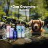 kin+kind Grooming Bundle - Chacoal