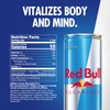 Red Bull Sugar Free Energy Drink with 80mg Caffeine plus