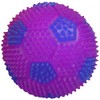 Amazing Pet Products Bouncy Soccer Ball Dog Toy, 2.6-Inch