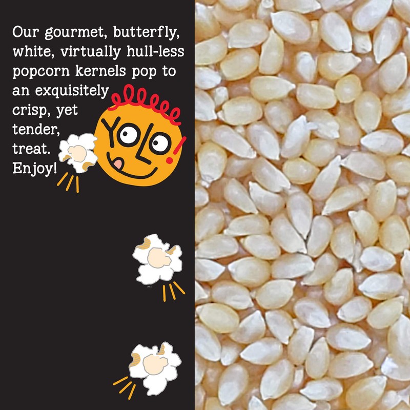 YOLO! Snacks - Gourmet White Virtually Hulless Popcorn Kernels -