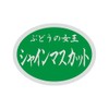 Hikari Paper SM Label SK008 Shine Muscat Grapes 1000 Sheets