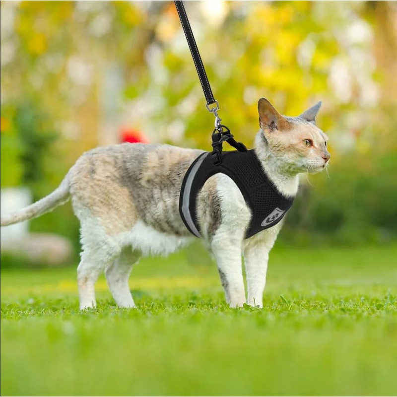 1-Pack Dog Harness- Sturdy Plastic Buckle, Adjustable Breathable Vest -