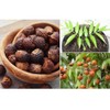 AnNafi® Reetha | Organic Soap Nuts | Aritha/Areetha/Kunkudukaialu | Sapindus