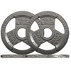 Aurorafy 2 Inch Olympic Cast Iron Weight Plate, 4 x