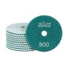 Sali 10 Pack Diamond Polishing Pads 4 Inch Wet Granite
