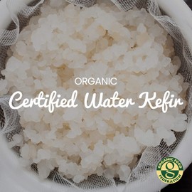 Freshly Fermented - 20g of Organic Certified Water Kefir Grains