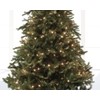Lumineo Basic Classic Warm Fairy Lights – 40 LEDs –