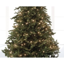 Lumineo Basic Classic Warm Fairy Lights – 40 LEDs – 3 Metres – Black Cable – Indoor & Outdoor – Timer – Dimmable – IP44 Protection