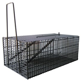 compal black square house