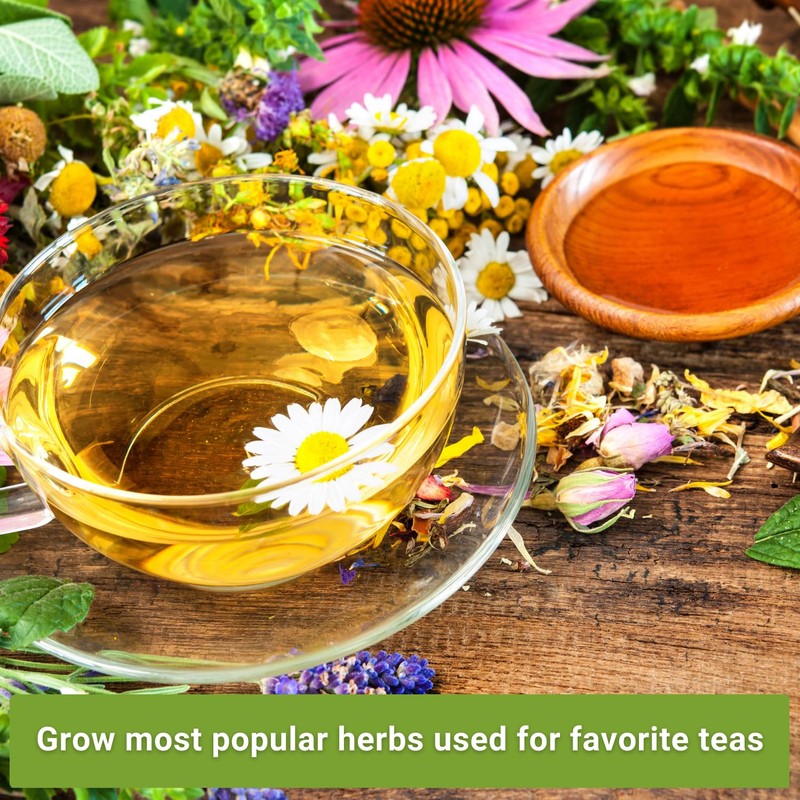 Sow Right Seeds Sow Right Seeds - Herbal Tea Collection
