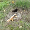 ZELARMAN Garden Weeding Sickle/Hand Hoe, Gardening Cutting Grass Sickle, Japanese