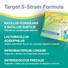 FiveLac Lemon Probiotic Powder - Smooth Digestive Support