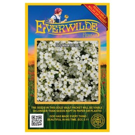 Everwilde Farms - 2000 Rockcress Native Wildflower Seeds - Gold Vault Jumbo Seed Packet