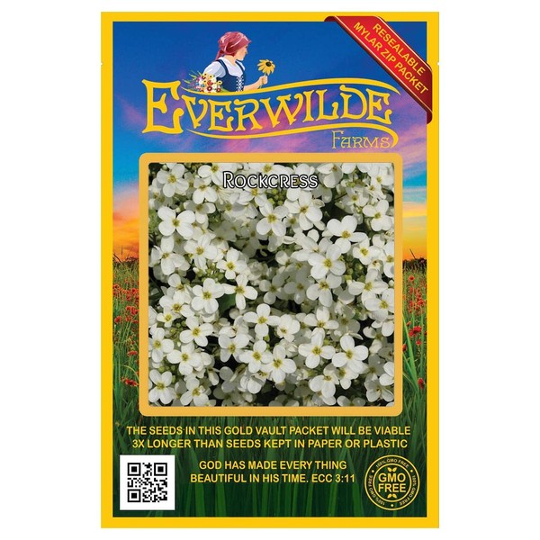 Everwilde Farms - 2000 Rockcress Native Wildflower Seeds - Gold