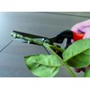 Garten Primus 01040 Garden Shears, Rose Shears, Vine Shears, Florist