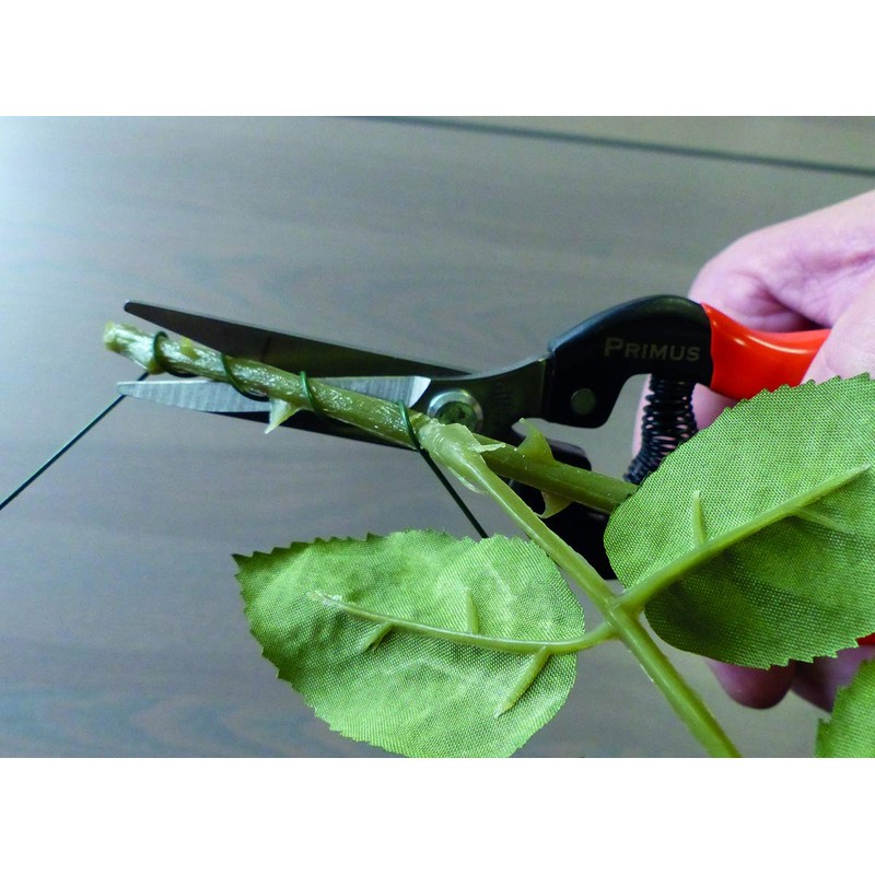 Garten Primus 01040 Garden Shears, Rose Shears, Vine Shears, Florist