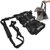 Cat Vest Harnesses Leash Adjustable Breathable Stylish Multifunctional Pet Walking