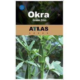 ATLAS Okra -Green Slim