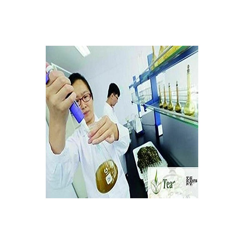 Purple Ganoderma Lucidum Wild Lingzhi Organic Reishi Mushroom 500g