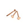 10 PCS Copper Clout Nails Roofing Slate Felt Nail, Tree