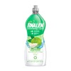 PINALEN Dishwashing Liquid Soap - Apple Pop Scent - 25.3
