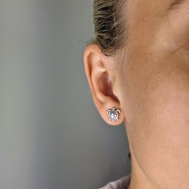 81stgeneration Small Cute Ocean Turtle Stud Earrings .925 Sterling Silver for Women, Sterling Silver